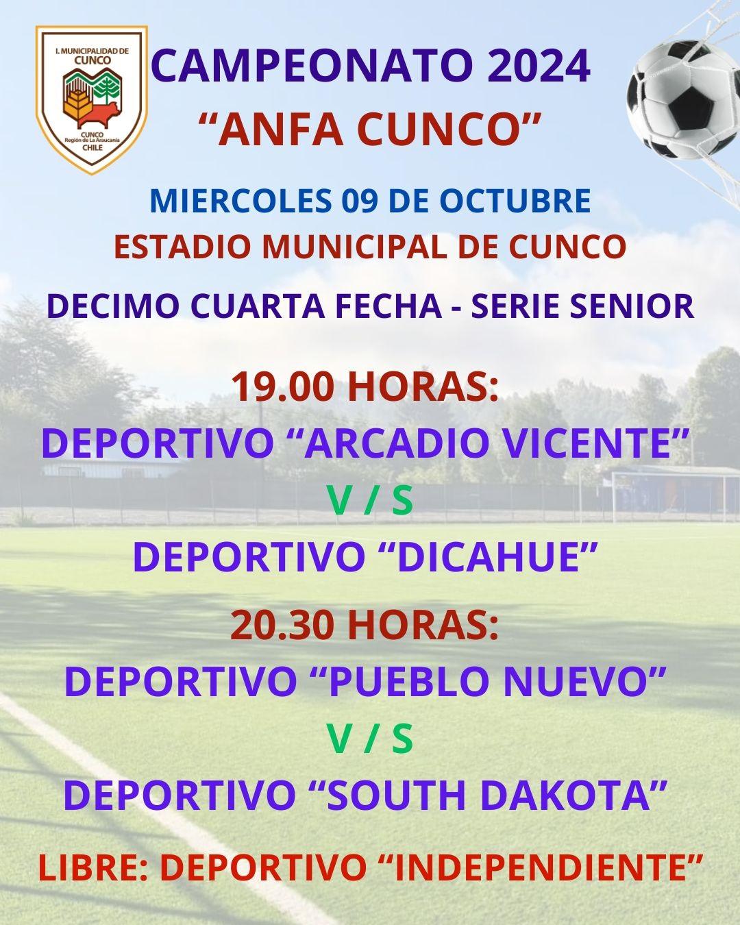 Campeonato Anfa Cunco