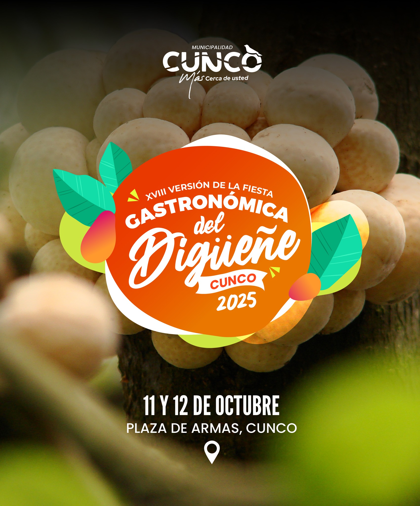 Fiesta del Digueñe