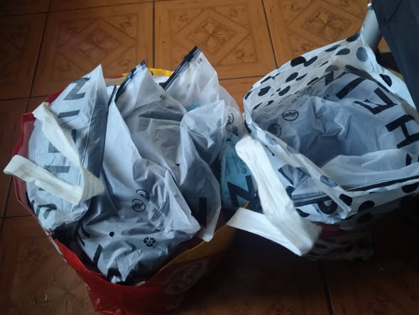 Lote 58 prendas lencería erótica Shein