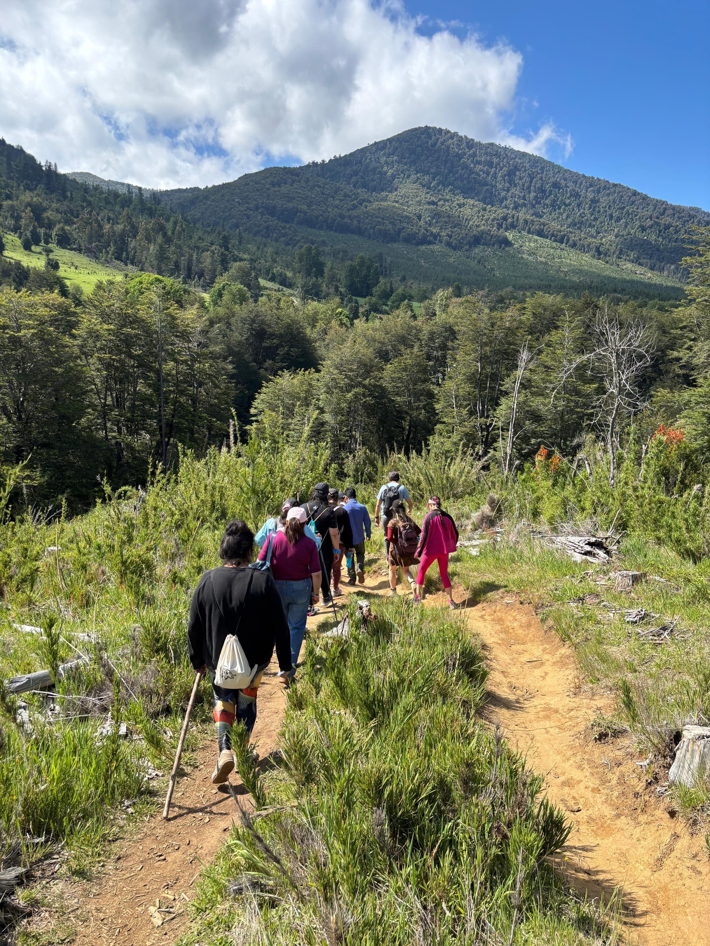 Trekking a la Garganta del Brujo en Cunco