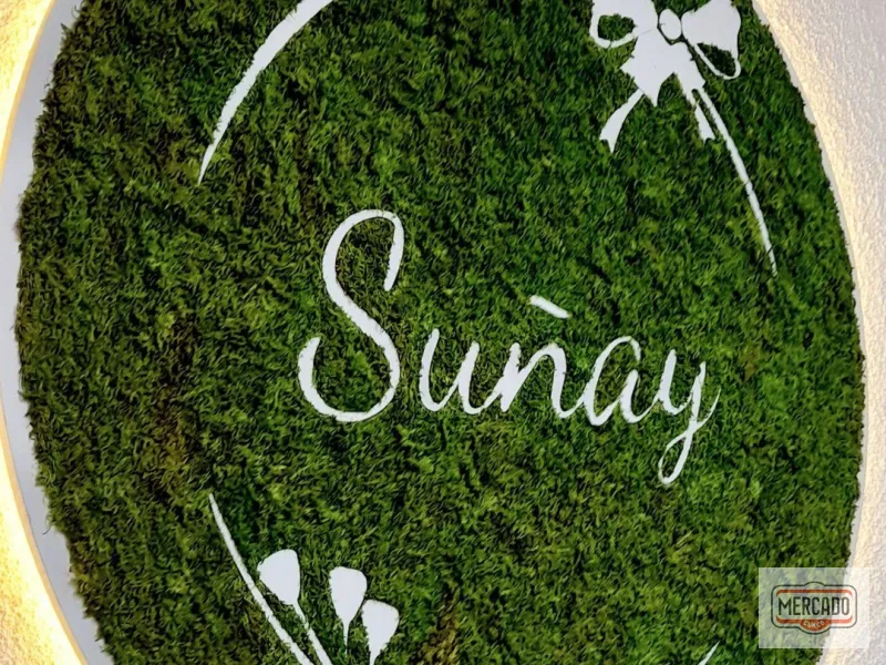 Suñay Logo