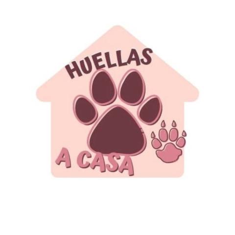 Huellas a casa